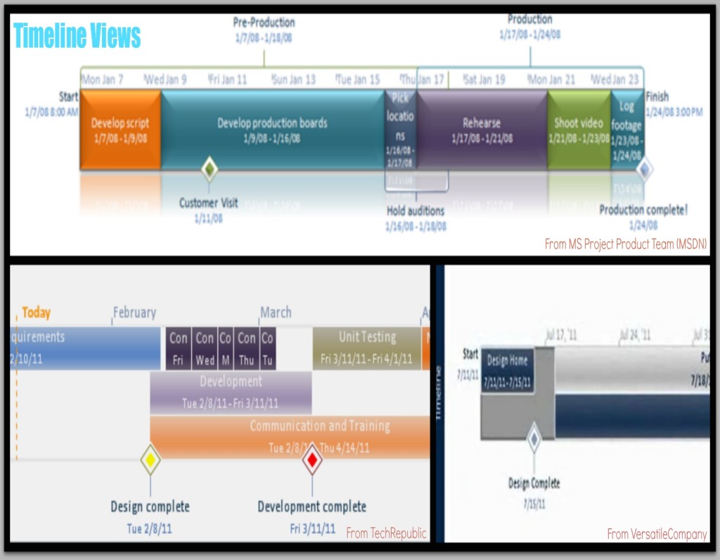 ms project timeline view